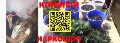 экстази Гай