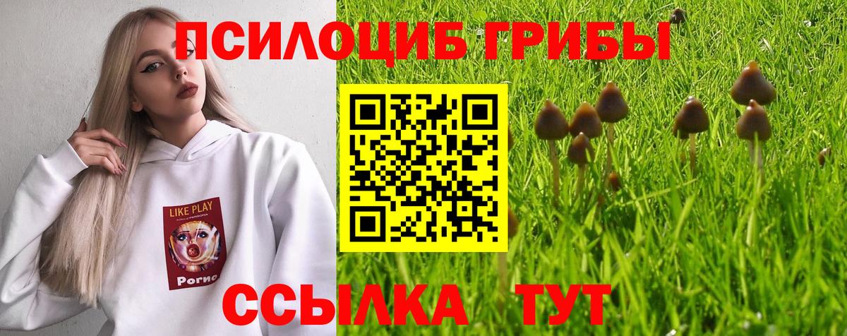 Галлюциногенные грибы Magic Shrooms  Вход с VPN  Новоуральск  Галлюциногенные грибы прущие грибы 